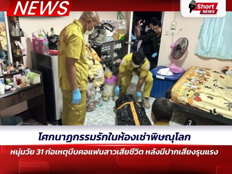 phitsanulok-domestic-1