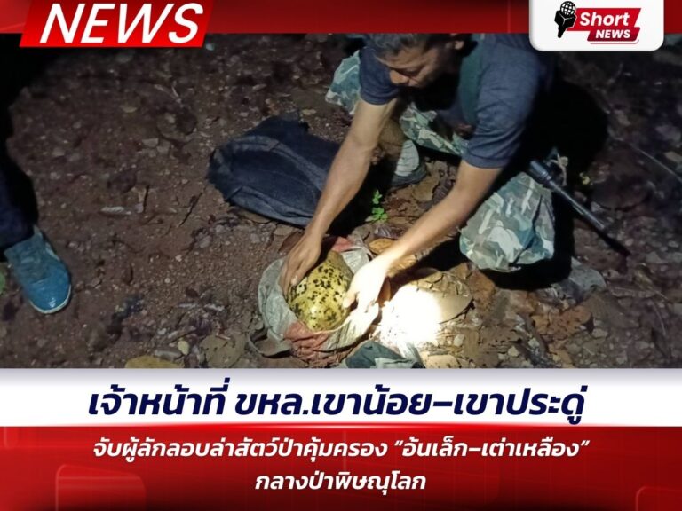 อ้นเล็ก–เต่าเหลือง