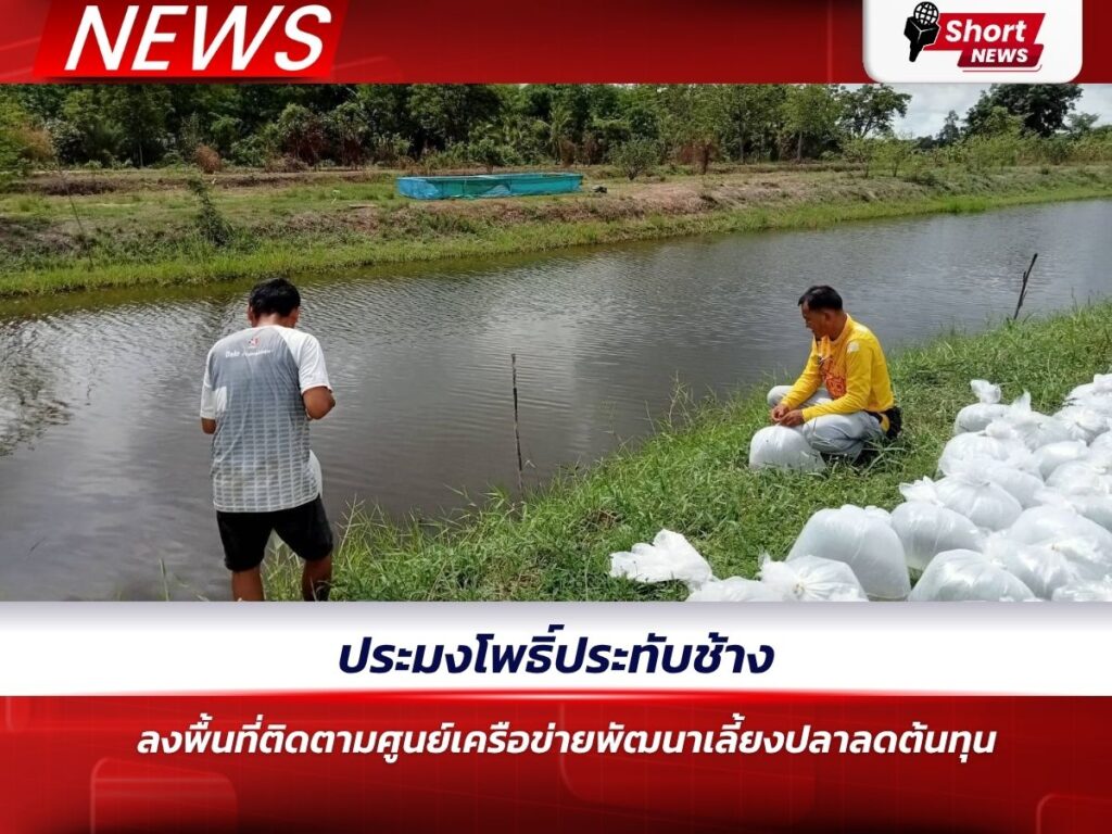 การประมงพิจิตร