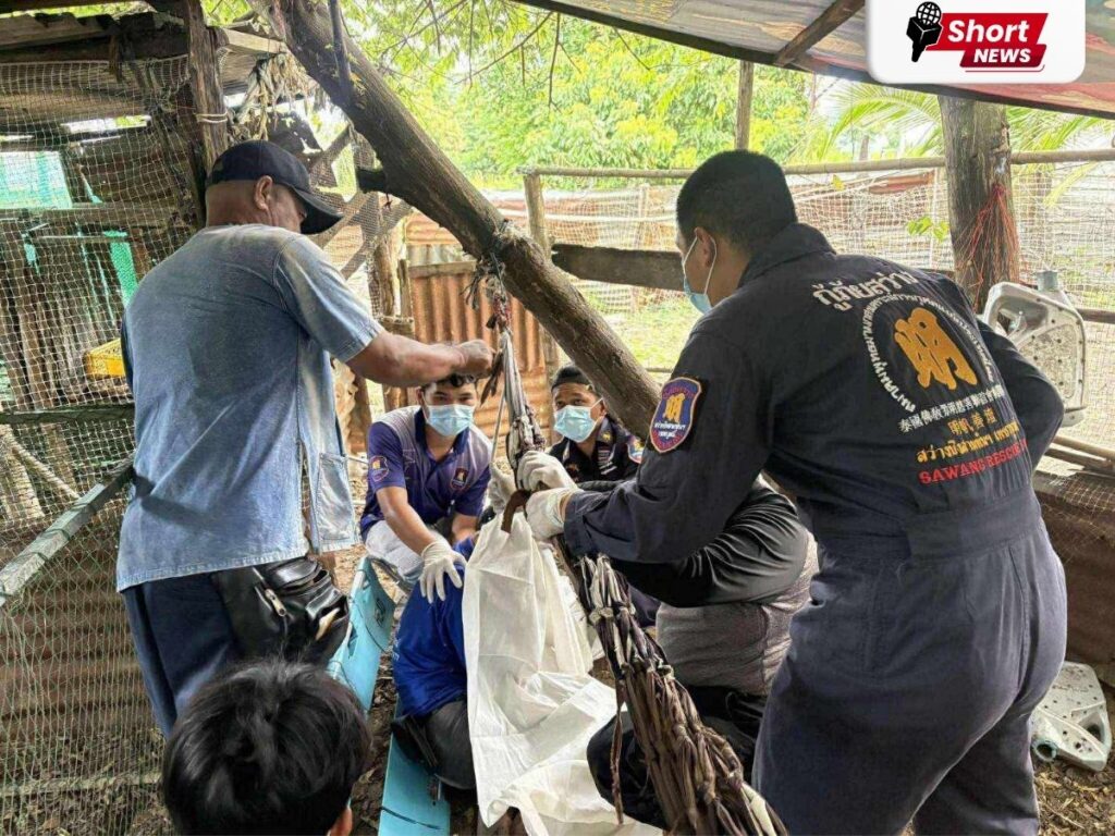 ชายวัย 48 จบชีวิตในเล้าไก่ คาดสาเหตุเครียดจากการถูกหลอกเปิดบัญชีม้า (2) ชายวัย 48 จบชีวิตในเล้าไก่ คาดสาเหตุเครียดจากการถูกหลอกเปิดบัญชีม้า (2)