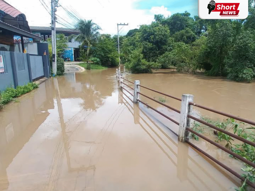 ฝนถล่มเพชรบูรณ์ น้ำป่าหลากท่วมขังหลายตำบล หน่วยงานเร่งช่วยเหลือ (2) ฝนถล่มเพชรบูรณ์ น้ำป่าหลากท่วมขังหลายตำบล หน่วยงานเร่งช่วยเหลือ (2)