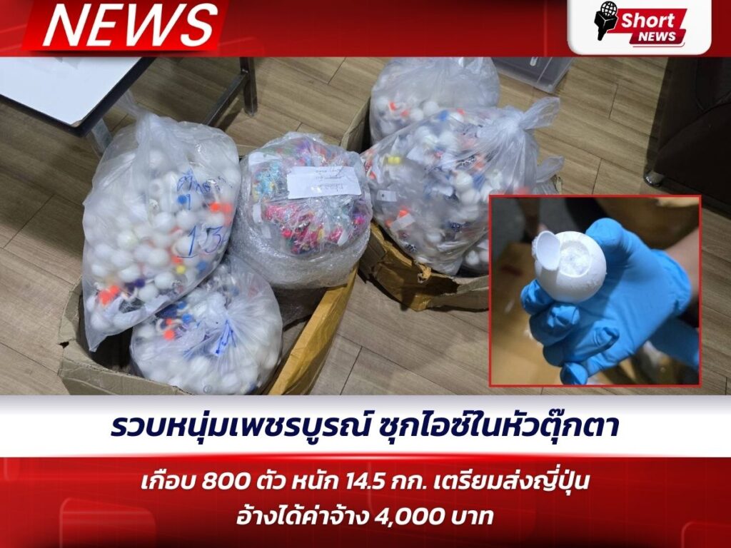 รวบหนุ่มเพชรบูรณ์ ซุกไอซ์ในหัวตุ๊กตาเกือบ 800 ตัว หนัก 14.5 กก. เตรียมส่งญี่ปุ่น