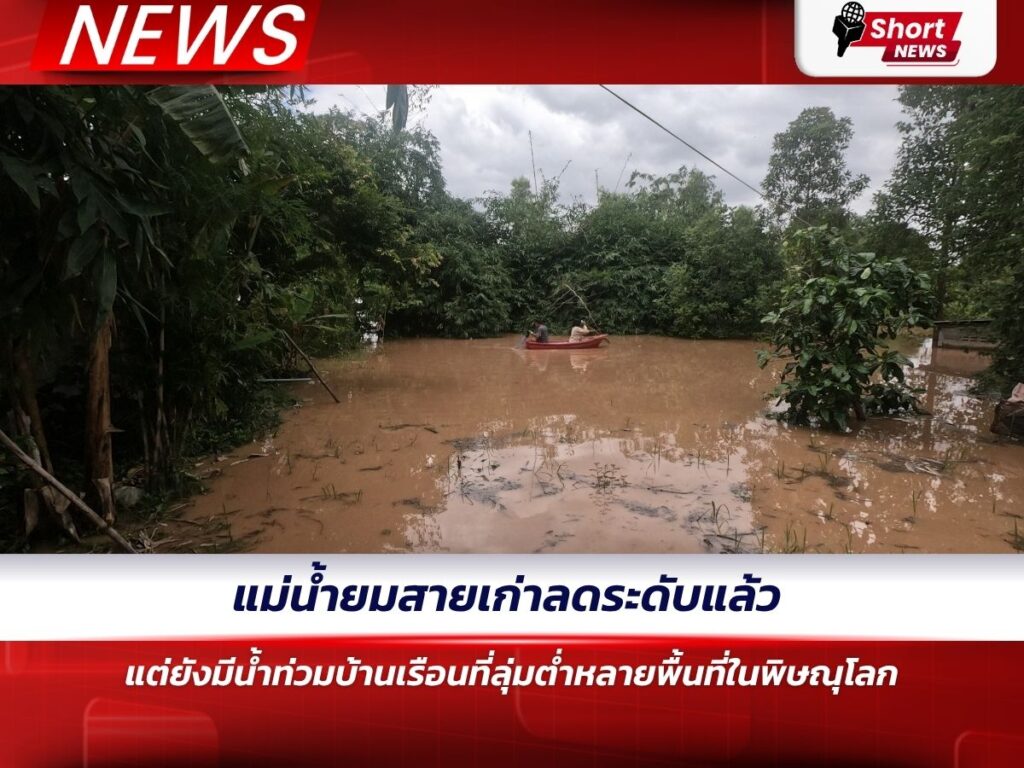 แม่น้ำยมสายเก่าลดระดับแล้ว แต่ยังมีน้ำท่วมบ้านเรือนที่ลุ่มต่ำหลายพื้นที่ในพิษณุโ�