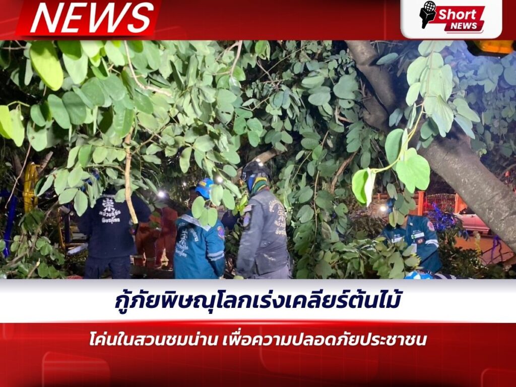 กู้ภัยพิษณุโลกเร่งเคลียร์ต้นไม้โค่นในสวนชมน่าน เพื่อความปลอดภัยประชาชน