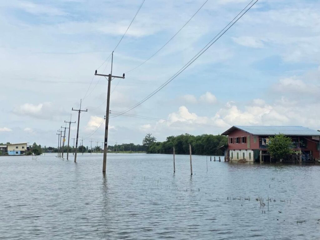 บางระกำโมเดลน้ำท่วมแล้ว 67% ชาวบ้านเตรียมอยู่กับน้ำยาวถึงพฤศจิกายน (4)